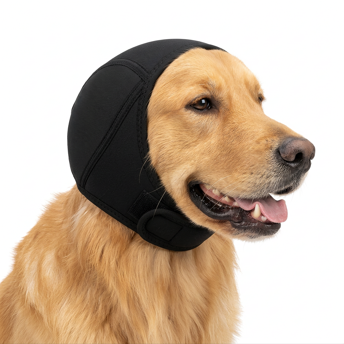 Dog Anxiety EarMuffs