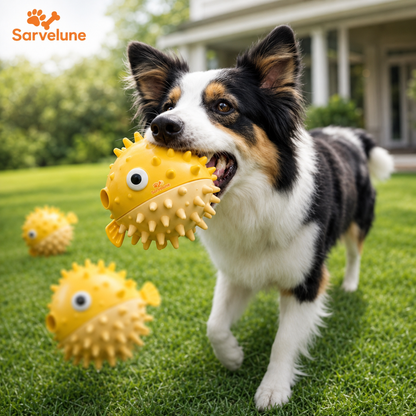 Textured Chew & Enrichment Dog Toy