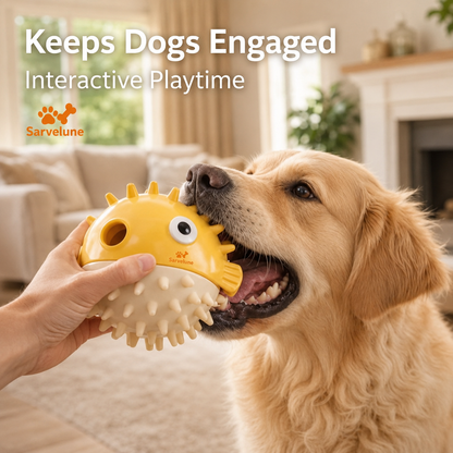 Textured Chew & Enrichment Dog Toy