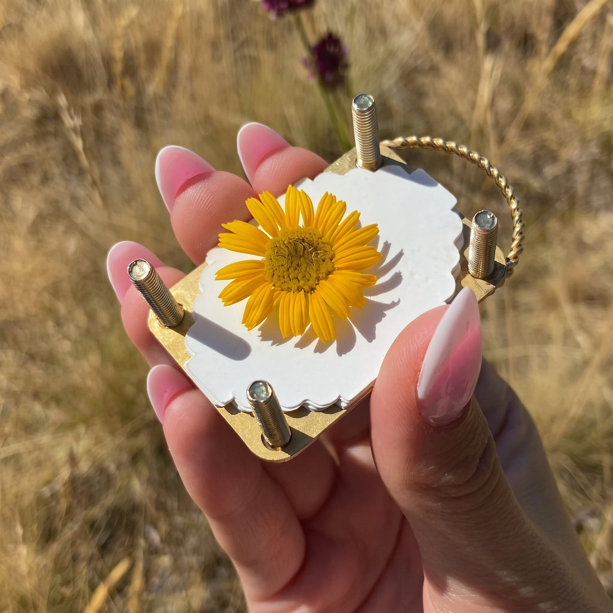 Mini Flower Press | Small Portable Pocket Press